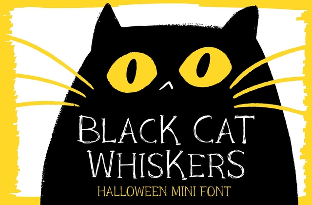 Beispiel einer Black Cat Whiskers Regular-Schriftart